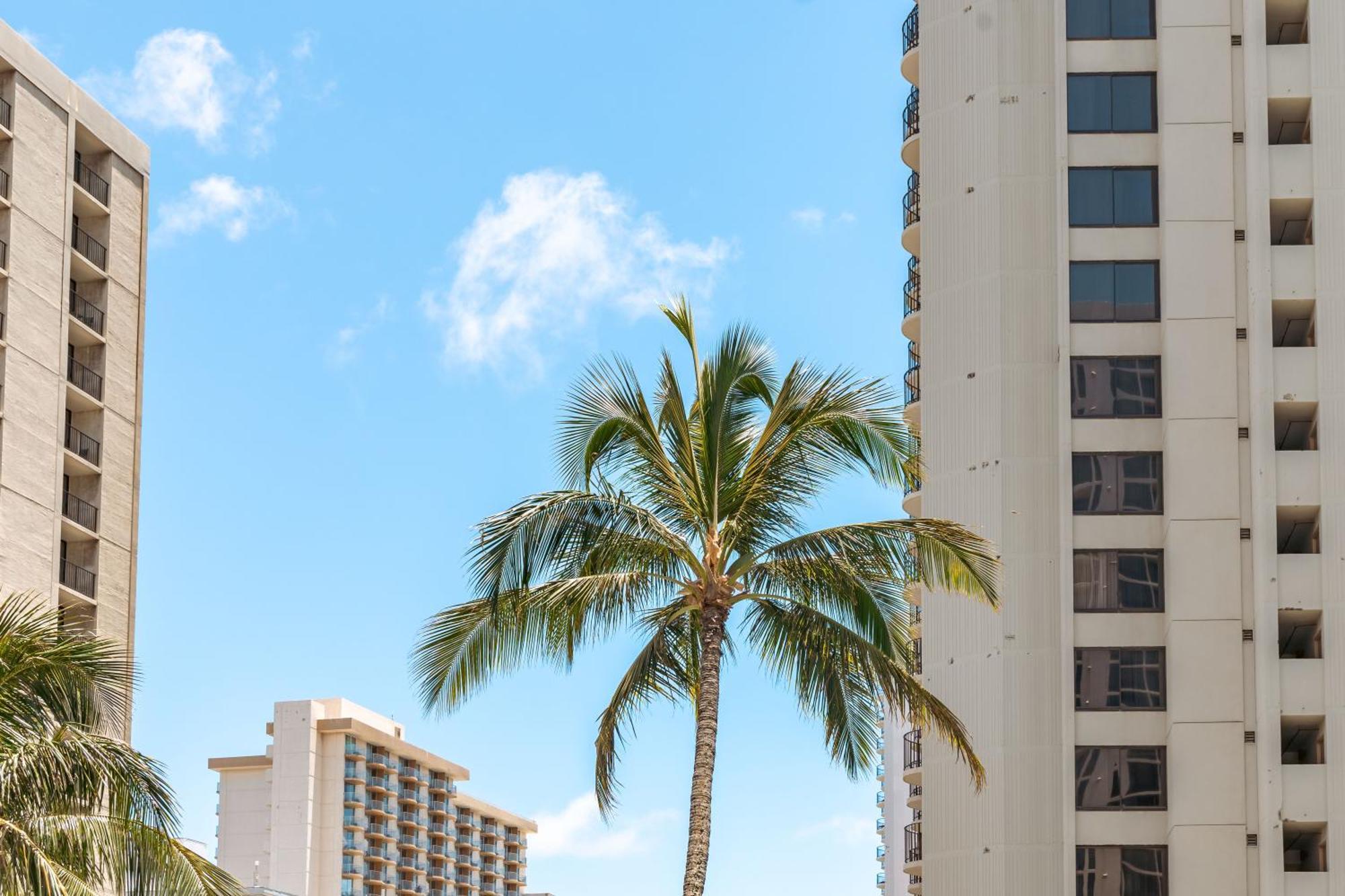 Waikiki Escapade Mountain Views Condo, Steps To Beach With Parking Perk Honolulu Buitenkant foto